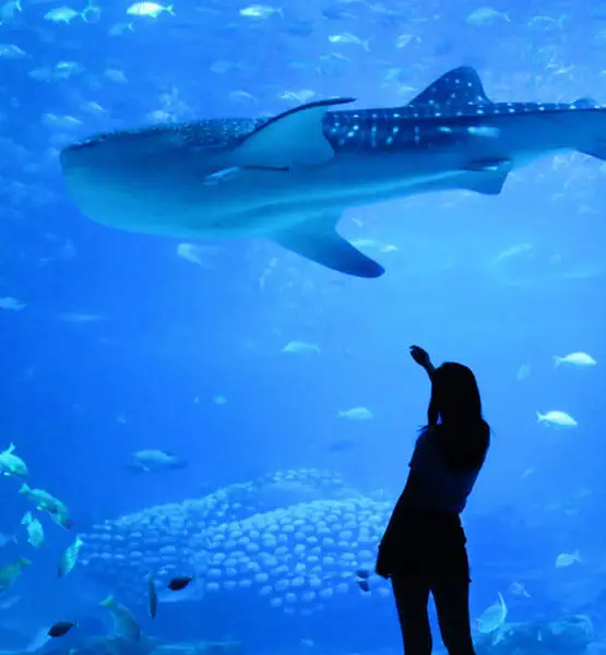 gallery 05 free img.jpg