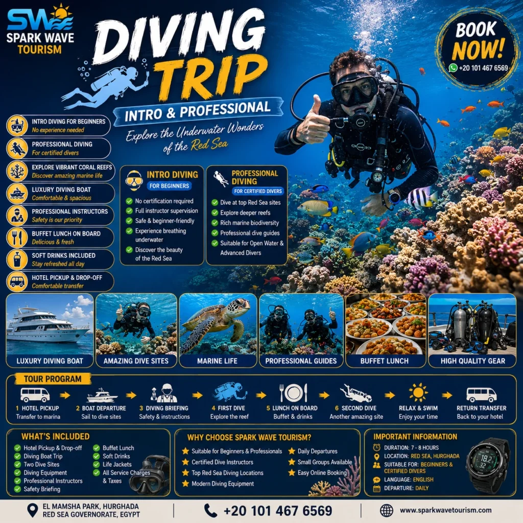Diving Courses Hurghada diving trip hurghada